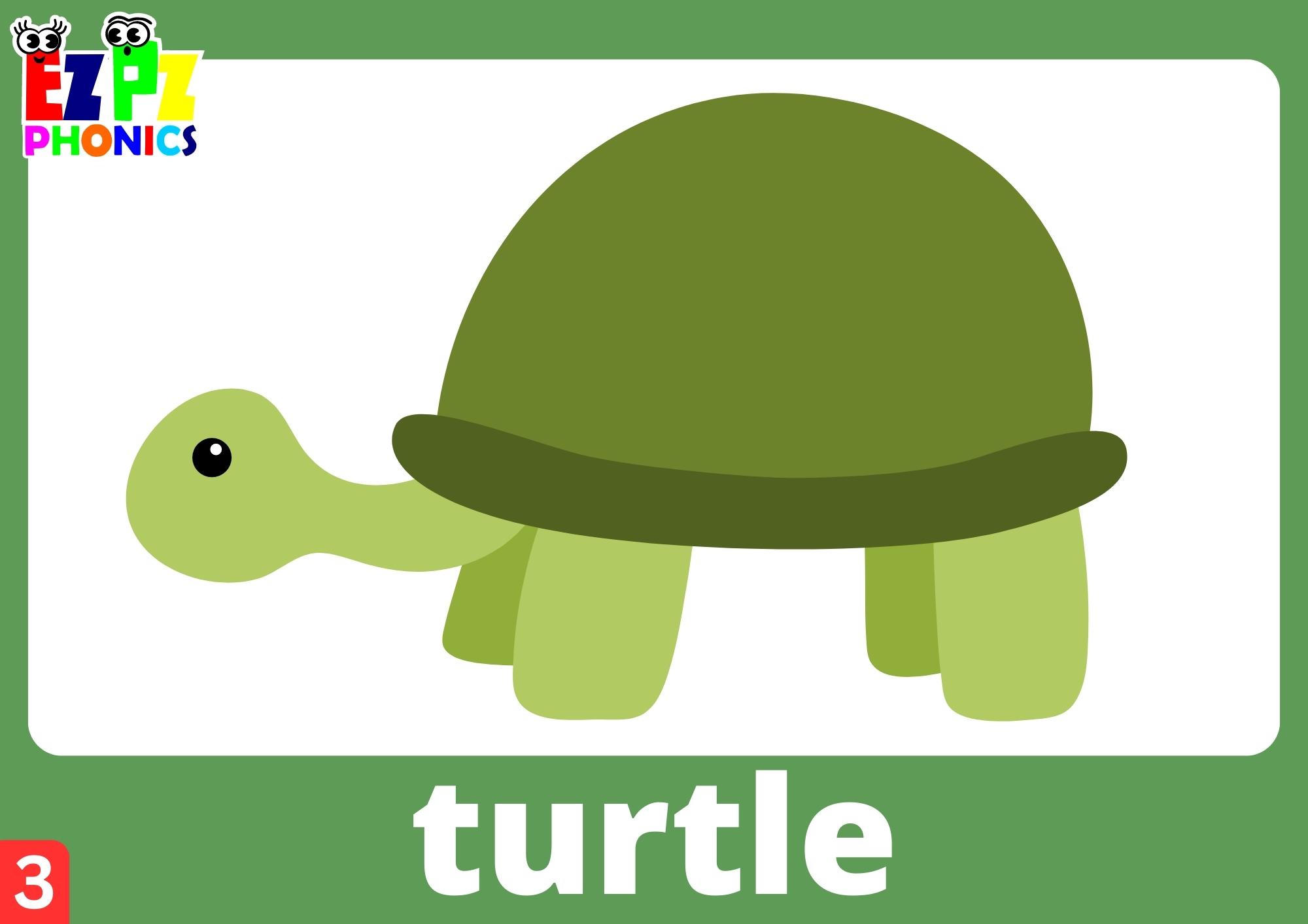 Letter T Words Phonics Flashcards with Images and Words Free Printable PDF or View Online For Homeschool Parents and Teachers to Teach Kindergarten and Preschool Children Group 3